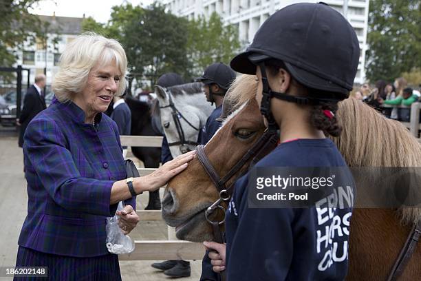 Camilla, Duchess of Cornwall during a visit to Ebony Horse Club & Community Riding Centre on October 29, 2013 in London, England.