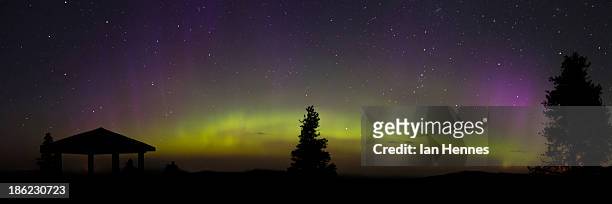 cypress hills northern lights - northern saskatchewan stock pictures, royalty-free photos & images