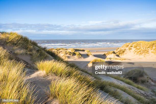 rolling sand dunes on formby beach - mar de irlanda fotografías e imágenes de stock