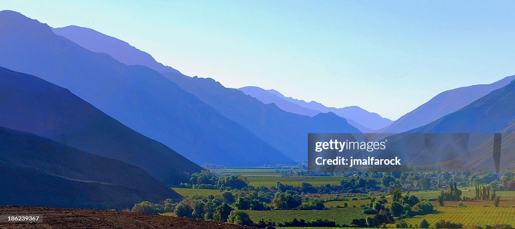 Viña del Cerro - Valle de Copiapó