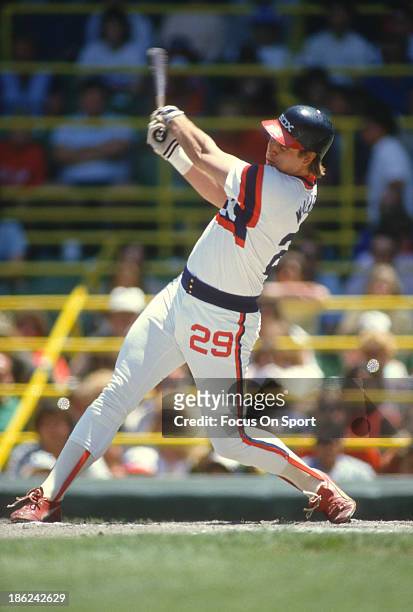 Greg Walker of the Chicago White Sox bats during an Major League Baseball game circa 1986 at Comiskey Park in Chicago, Illinois. Walker played for...