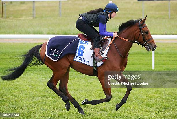 Samantha Cobley rides Ruscello during trackwork at Werribee Racecourse on October 30, 2013 in Melbourne, Australia.
