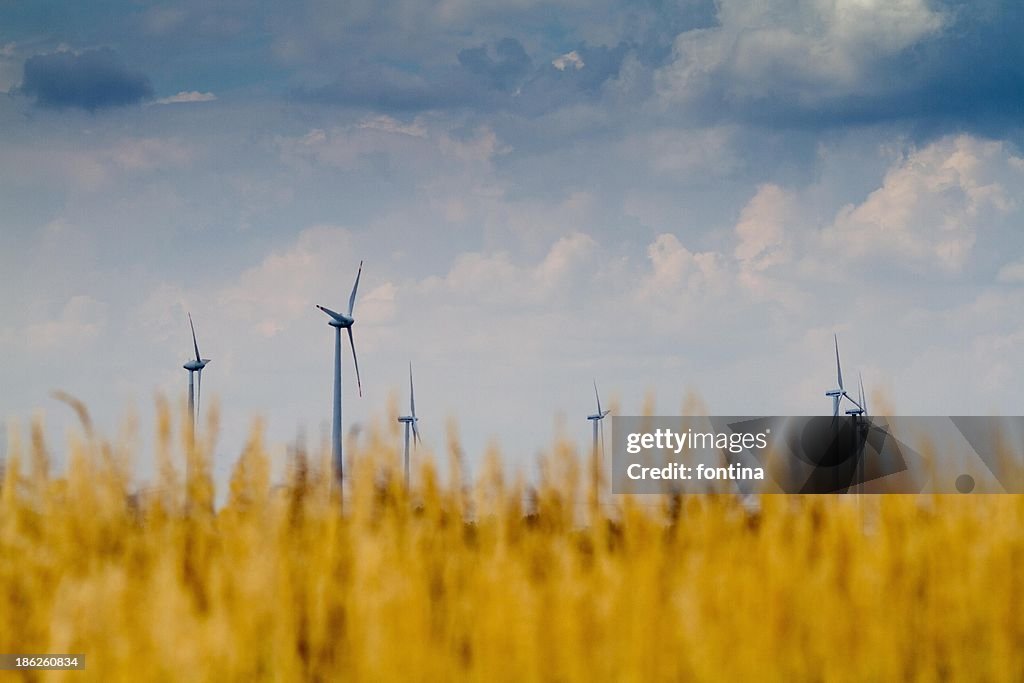 View of wind park in a field