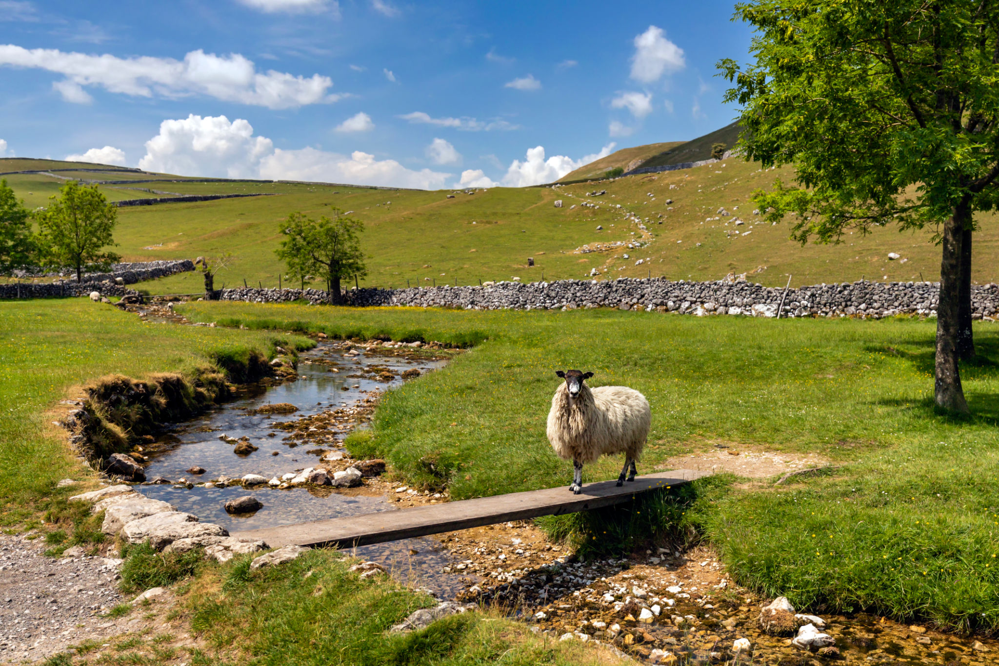 yorkshire dales