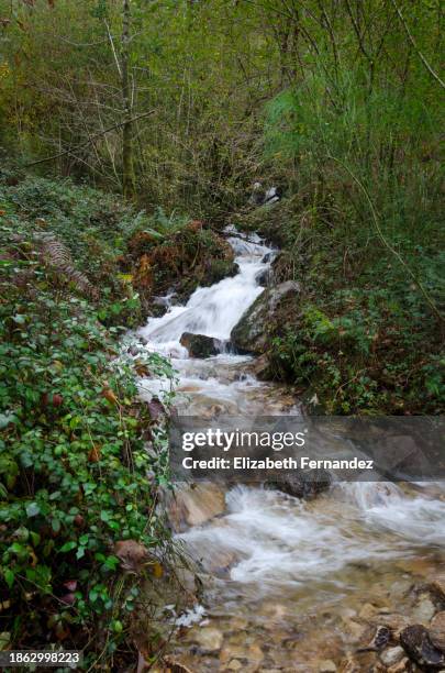 Small Brook 8,356 Small Brook Stock Photos, High-Res Pictures, and Images - Getty ...