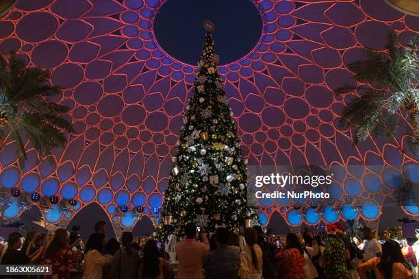 People are clicking pictures of a Christmas tree at the Al Wasl Plaza at Expo 2020 in Dubai, United Arab Emirates, on December 20, 2023.