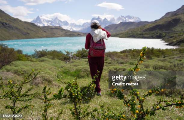 woman hiking in torres del paine national park，chile - torres stock pictures, royalty-free photos & images