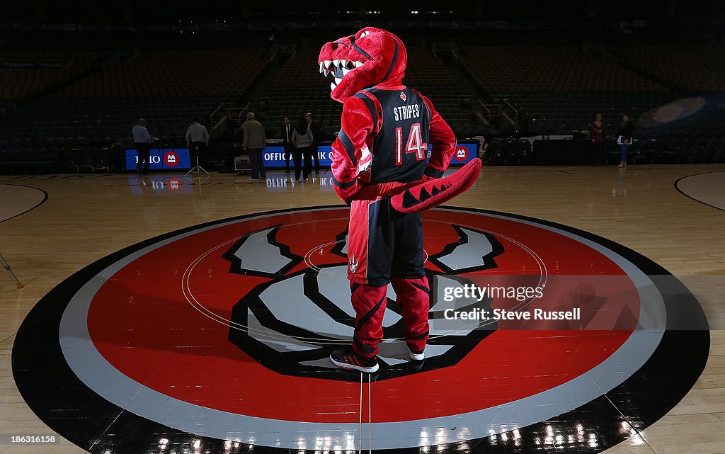 TORONTO, ON- OCTOBER 29 - The Toronto Raptors mascot, The Raptor ...