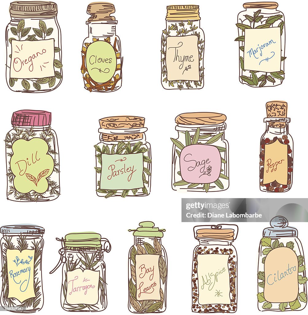 Sketchy Jars Of Herbs & Spices
