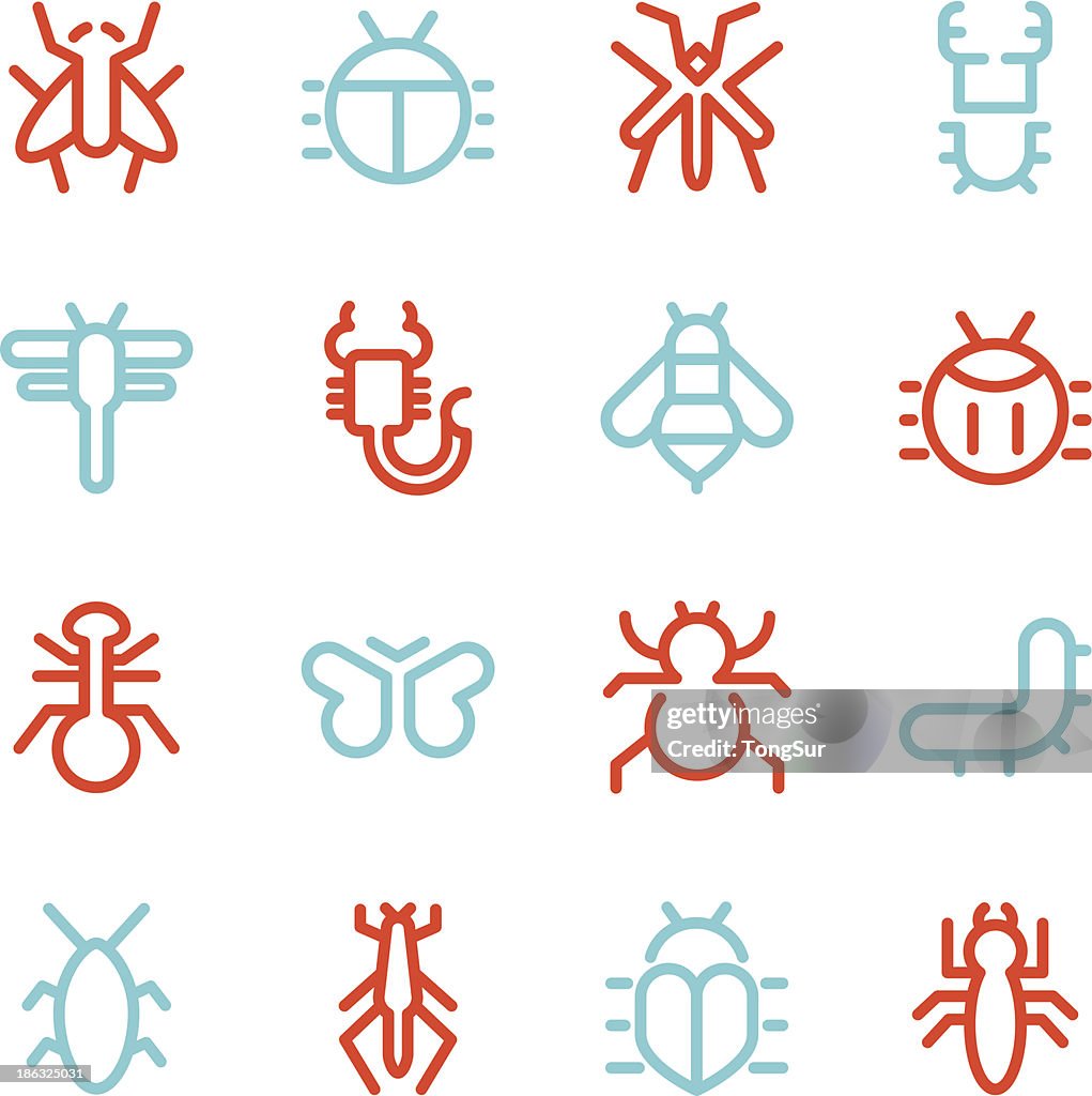 Insects Icons - Line Color Series