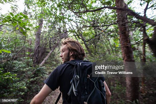 a man running in the forest - breakout stock-fotos und bilder