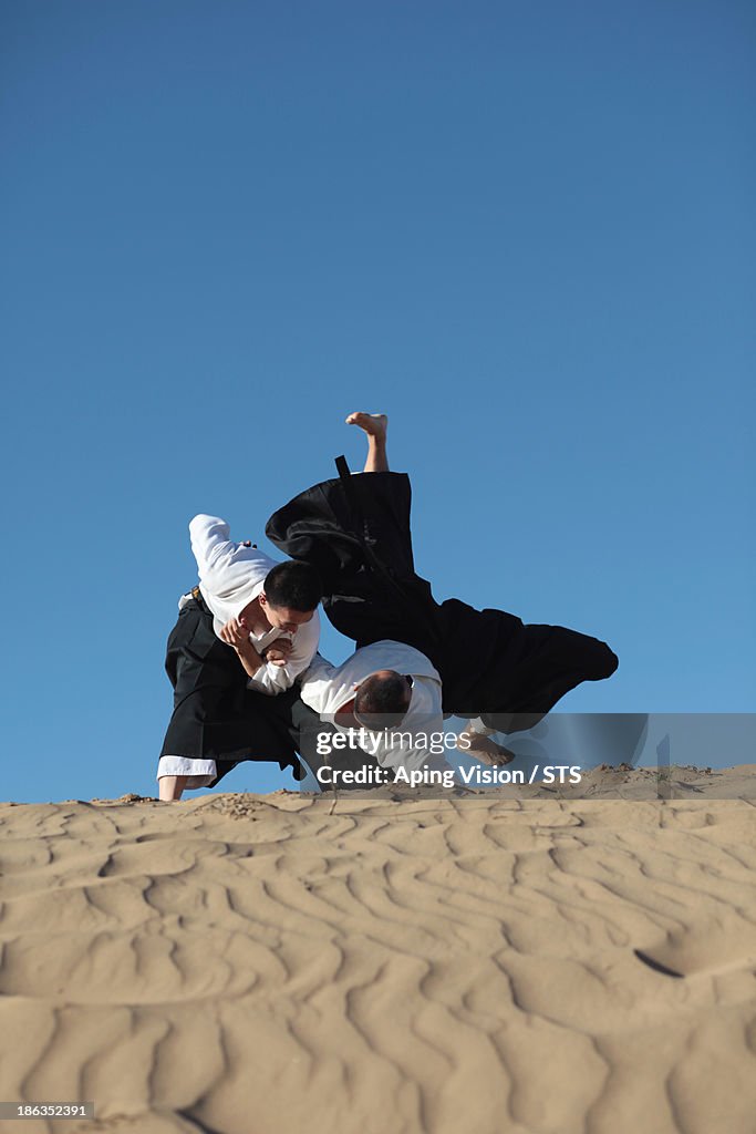 Aikido in desert