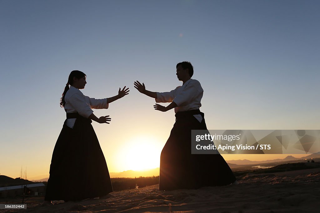 Aikido in desert