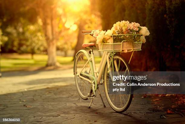 flowers in bicycle basket - bicycle basket stock pictures, royalty-free photos & images