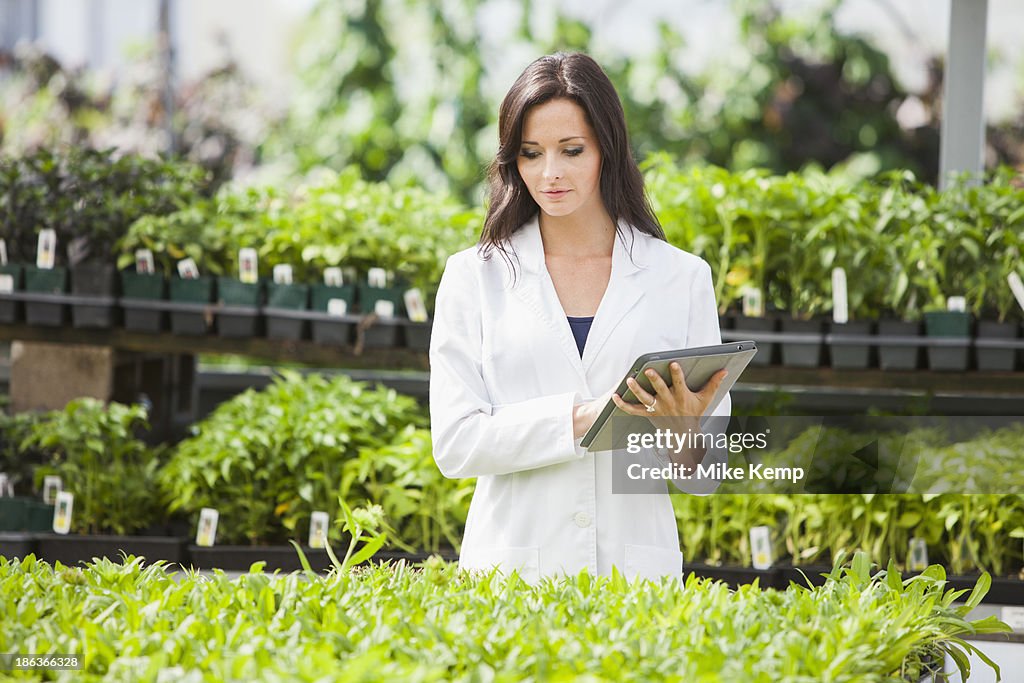 Caucasian scientist working in greenhouse