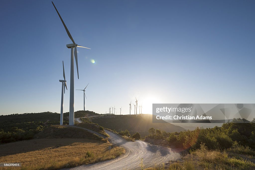 Curvy road through windmills at sunset