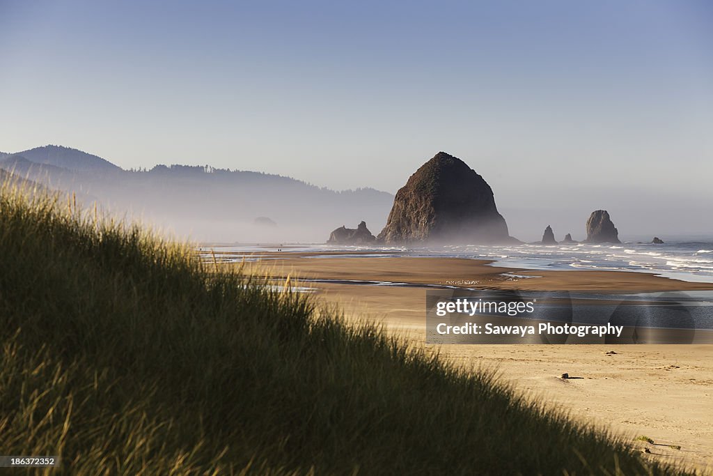 Haystack Rock seen from dunes