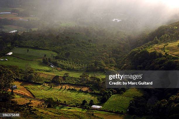 farmland near boquete, panama - panama city panama stockfoto's en -beelden