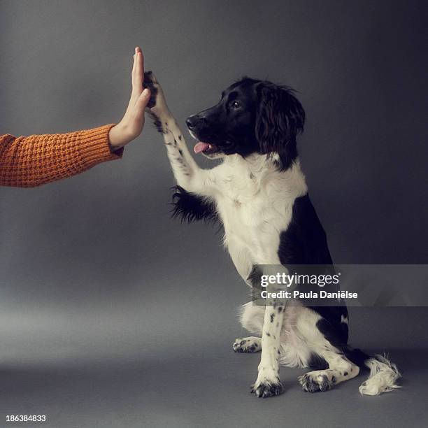 High Five High-Res Stock Photo - Getty Images