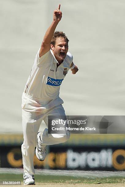 Ryan Harris of the Bulls appeals for a wicket during day two of the Sheffield Shield match between the South Australia Redbacks and the Queensland...