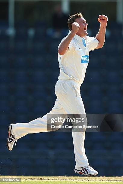 Doug Bollinger of the Blues celebrates dismissing Tim Paine of the Tigers during day two of the Sheffield Shield match between the New South Wales...