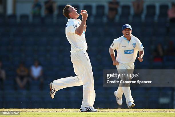 Doug Bollinger of the Blues celebrates dismissing Tim Paine of the Tigers during day two of the Sheffield Shield match between the New South Wales...