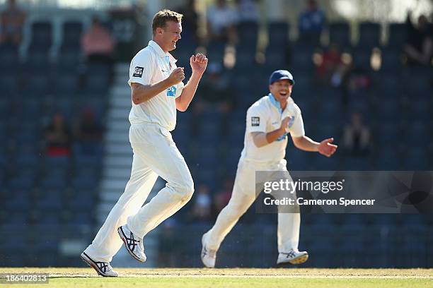 Doug Bollinger of the Blues celebrates dismissing Jonathan Wells of the Tigers during day two of the Sheffield Shield match between the New South...