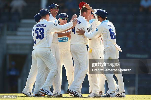 Doug Bollinger of the Blues is congratulated by team mates after dismissing Jonathan Wells of the Tigers during day two of the Sheffield Shield match...