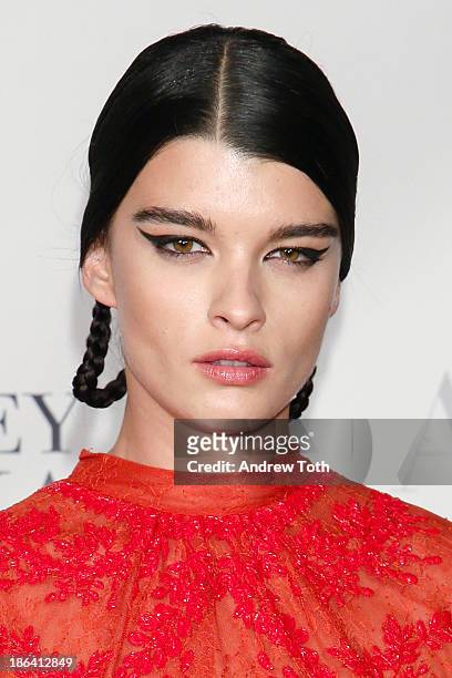 Fashion model Crystal Renn attends the American Ballet Theatre 2013 Opening Night Fall gala at David Koch Theatre at Lincoln Center on October 30,...