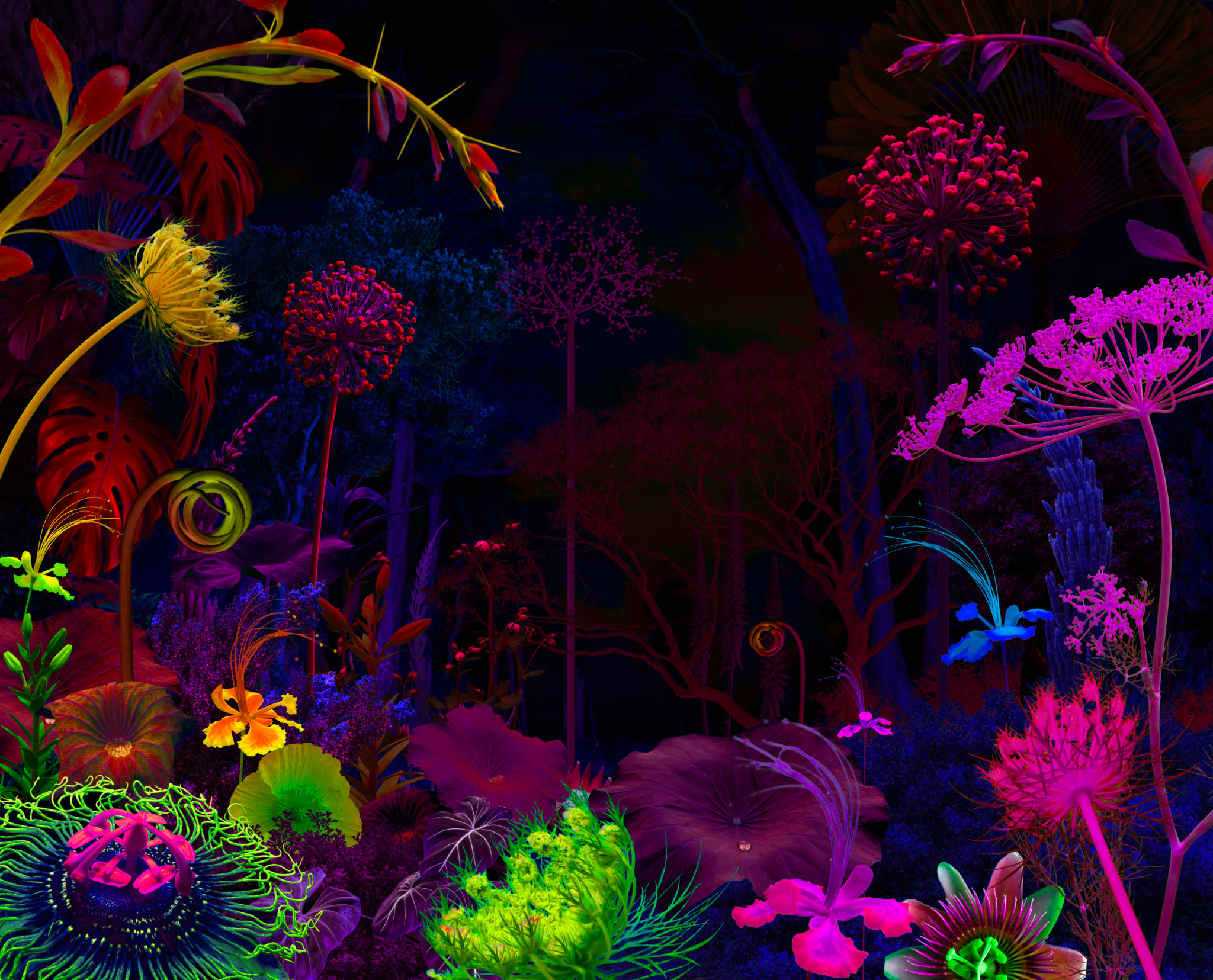 cosmic garden art