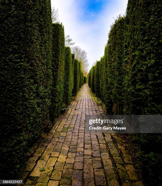 Path Walk Side View 13,884 Path Side View Stock Photos, High-Res Pictures, and Images ...