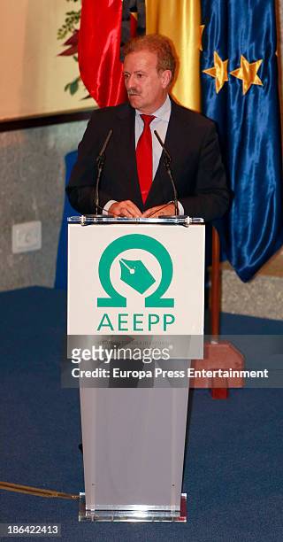 Manuel Campo Vidal attends 2013 AEEPP Awards at Real Casa De La Moneda on October 30, 2013 in Madrid, Spain.