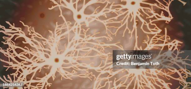 neuron illustration - nerve cell stock illustrations