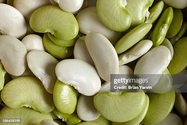 fresh lima beans - lima bean stock pictures, royalty-free photos & images
