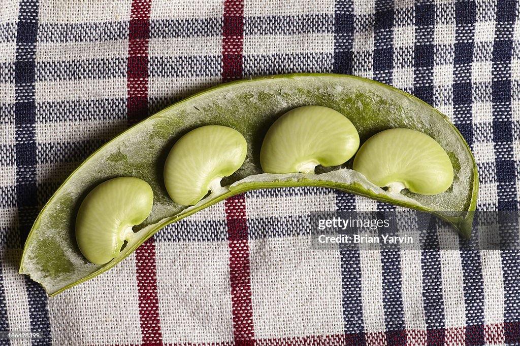 Fresh Lima Beans