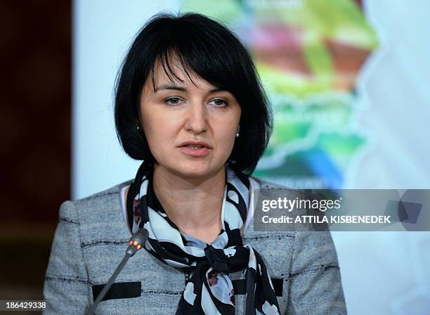 Undersecretary of State of Poland Henryka Moscicka-Dendys answers a journalist's question during a press conference at the break time of a joint...