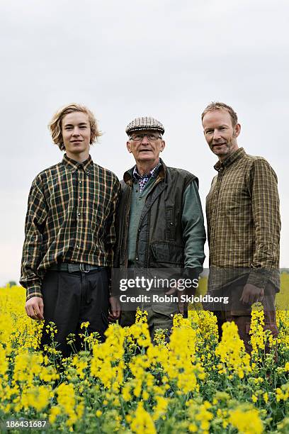 grandfather son and grandson in yellow field - farmer portrait stock-fotos und bilder