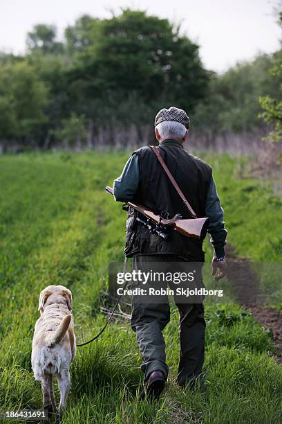 man walking with dog in field - hunting fotografías e imágenes de stock