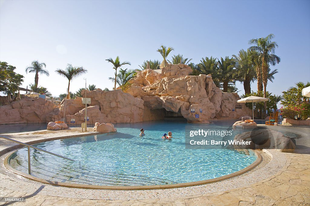 Luxurious pool with boulders and palms