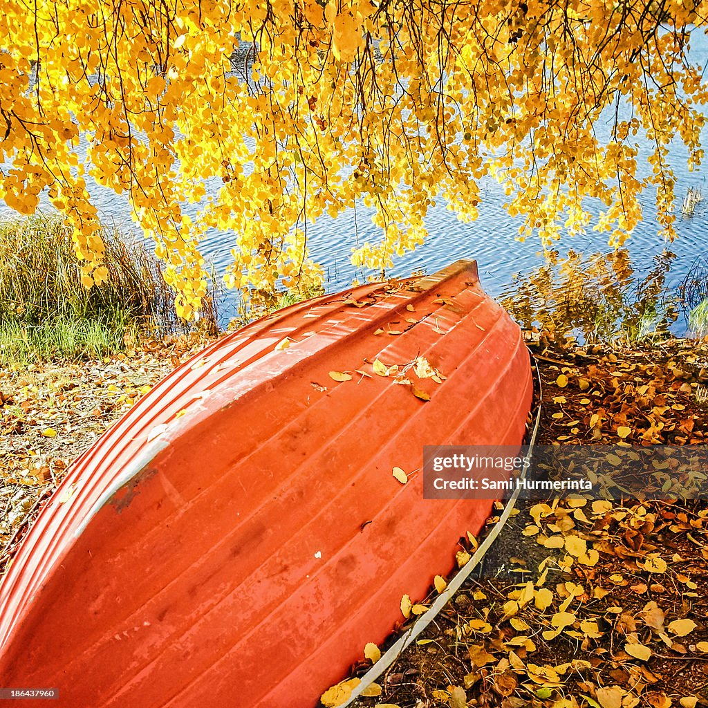 A boat covered with autumn leaves