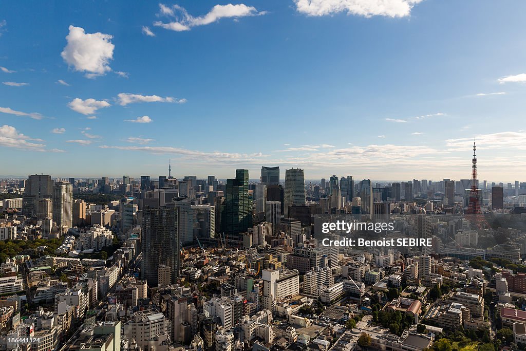 Tokyo Panorama