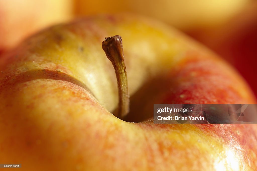 An apple