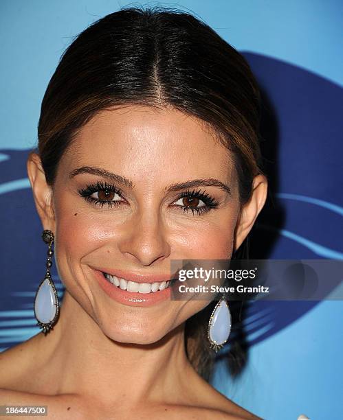 Maria Rodham 79 Maria Oceana Partners Award Gala Stock Photos, High-Res Pictures ...