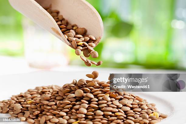 lentils pouring from wooden scoop, close up - linze stockfoto's en -beelden