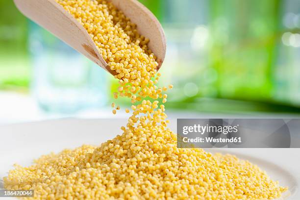 millet seeds pouring from wooden scoop, close up - mijo fotografías e imágenes de stock