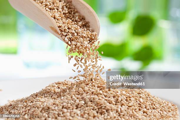 seasame seeds pouring from wooden scoop, close up - sesam stock-fotos und bilder