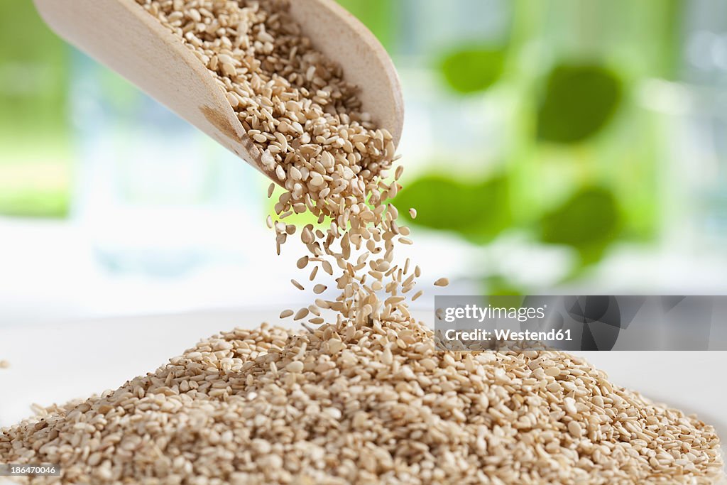Seasame seeds pouring from wooden scoop, close up