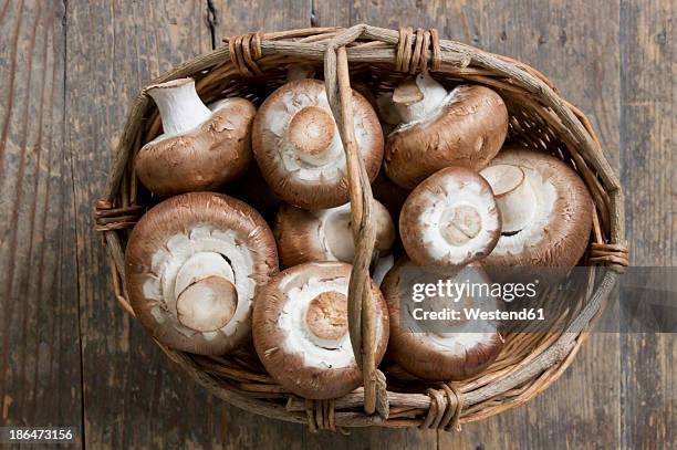 basket of agaricus mushroom - crimini mushroom stock pictures, royalty-free photos & images