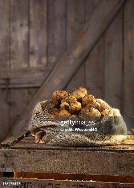 germany, potatoes in sack on wood - crate stock pictures, royalty-free photos & images