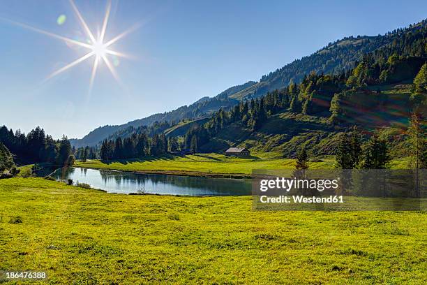 austria, vorarlberg, view of lecknersee lake in lecknertal valley - vorarlberg stockfoto's en -beelden